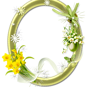 Floral frame PNG
