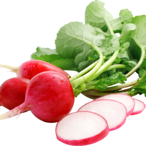 Radish PNG