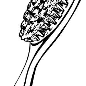 Hairbrush PNG