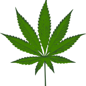 Cannabis PNG