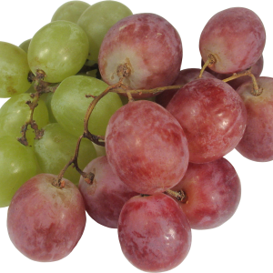 Grape PNG image