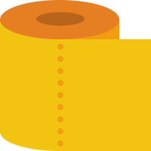 Toilet paper PNG
