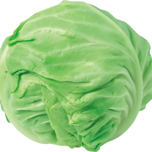 Cabbage PNG image