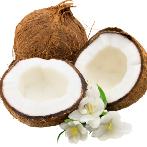 Coconut PNG image