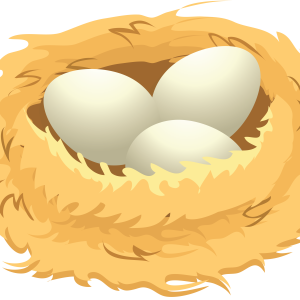 Nest PNG