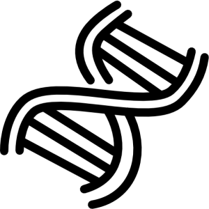 DNA PNG