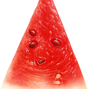 watermelon PNG image