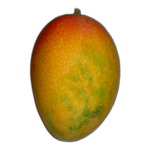 Mango PNG image
