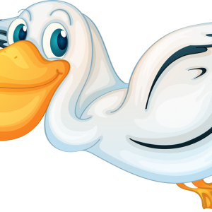Pelican PNG