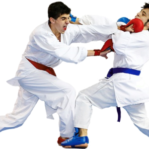 Karate PNG