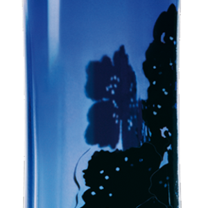 Perfume PNG image