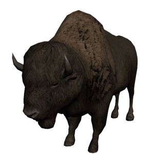 Bison PNG