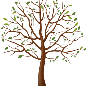 tree PNG