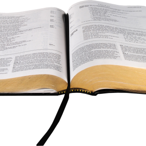 open bible PNG
