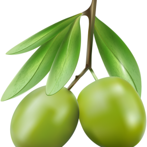 Olives PNG