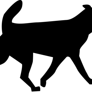 dog png image, picture, download, dogs