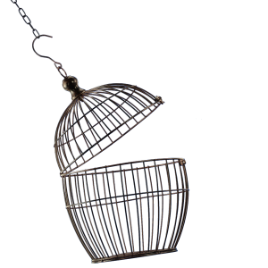 Cage bird PNG