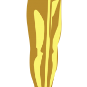 Academy Awards PNG, the Oscars PNG