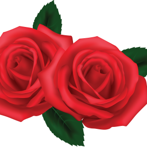 Rose PNG