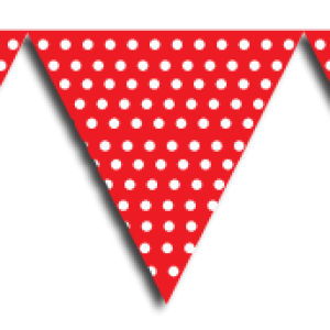 Party flags PNG