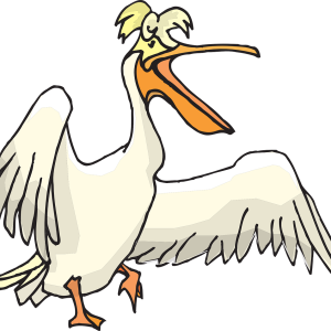 Pelican PNG
