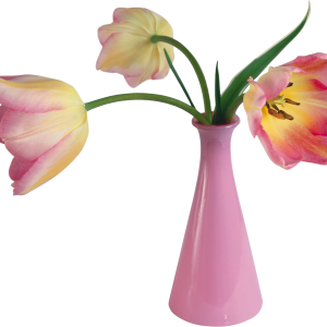 Vase PNG
