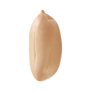Peanut PNG