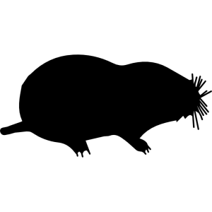 Mole PNG