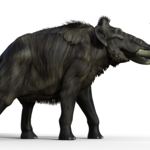 Mammoth PNG