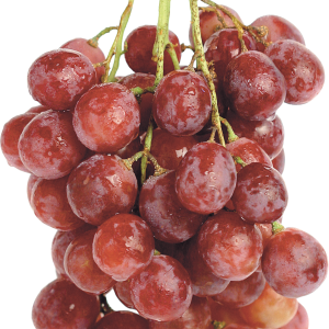 Red grape PNG image