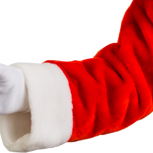 Santa Claus hand PNG