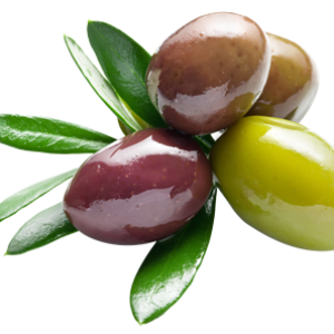 Olive PNG