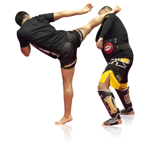 Kickboxing PNG