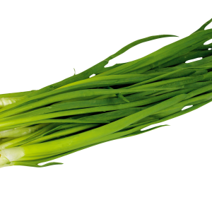 Leek PNG