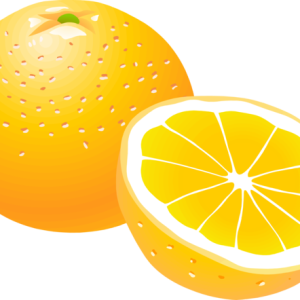 Orange PNG image, free download