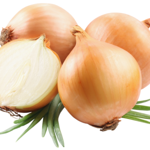 Onion PNG