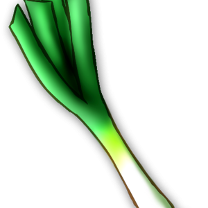 Leek PNG