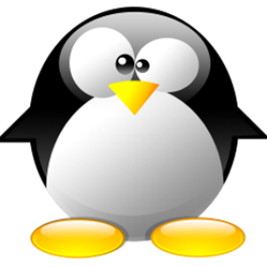 Linux logo PNG