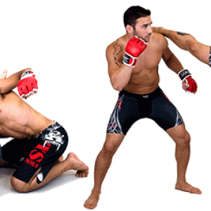 Mixed martial arts PNG, MMA PNG