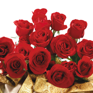 Rose PNG