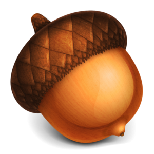 Acorn PNG image, free, acorns