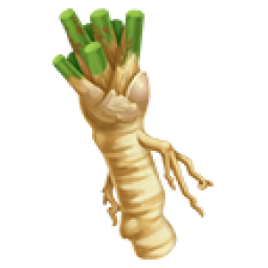 Horseradish PNG