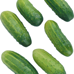 Cucumbers picture PNG