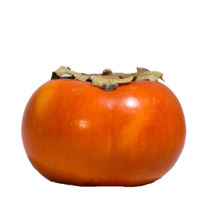 Persimmon PNG