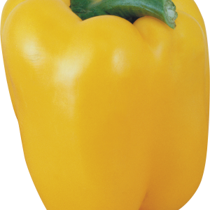 Bell pepper PNG