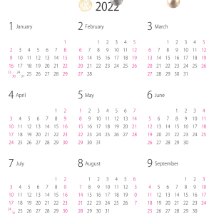 Calendar 2022 year PNG