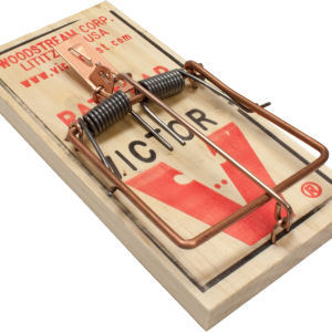 Mouse trap PNG