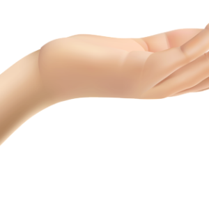 hand PNG