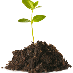 Soil PNG