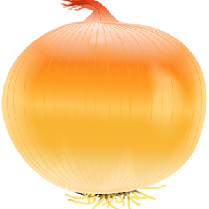 Onion PNG